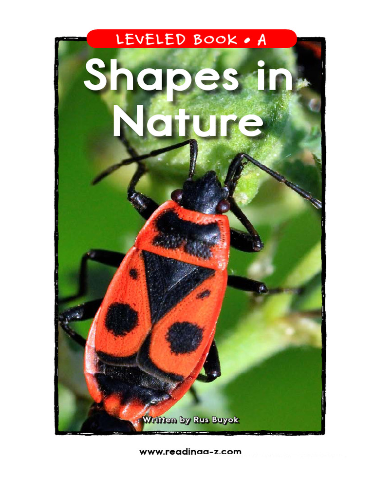 Raz La35 Shapes in Nature | PDF