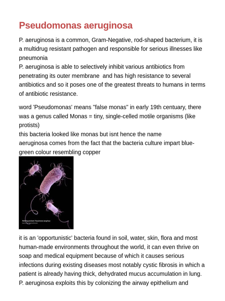 Pseudomonas Aeruginosa | PDF | Pseudomonas Aeruginosa | Biofilm