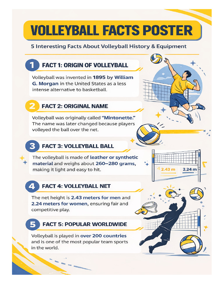 Volleyball Facts Poster CanvaStyle | PDF