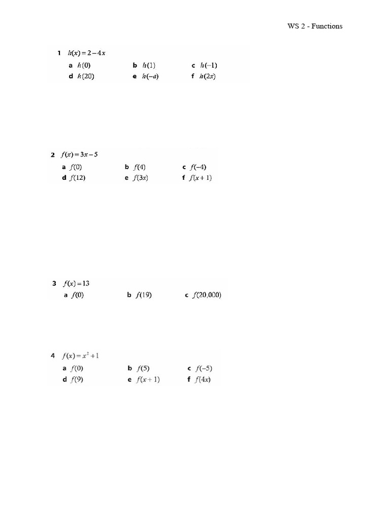 WS 2 Functions | PDF