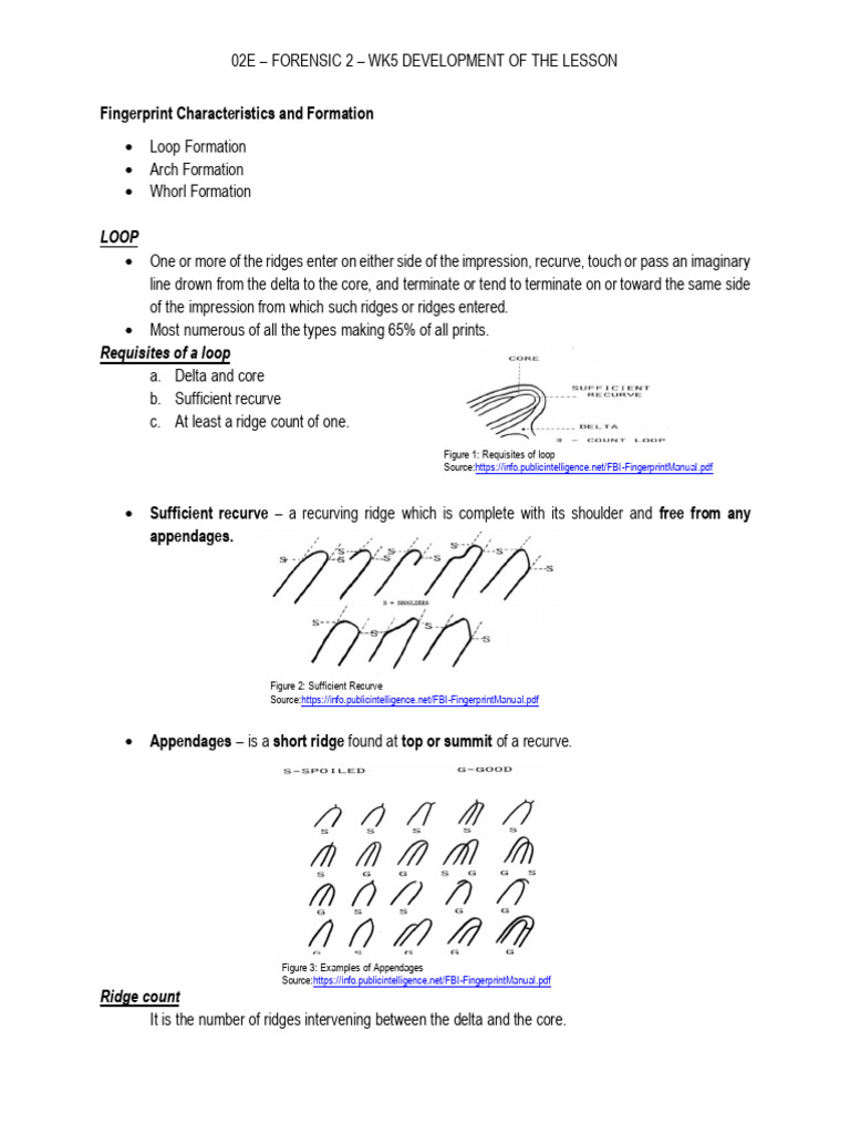 Forensic 2 Wk5 Development of The Lesson | PDF | Fingerprint