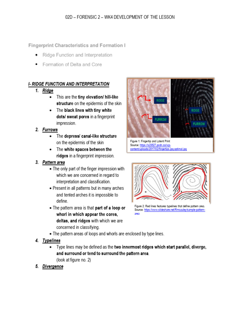 Forensic 2 Wk4 Development of The Lesson | PDF | Fingerprint