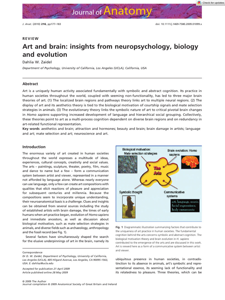 Journal of Anatomy - 2010 - Zaidel - Art and Brain Insights From ...