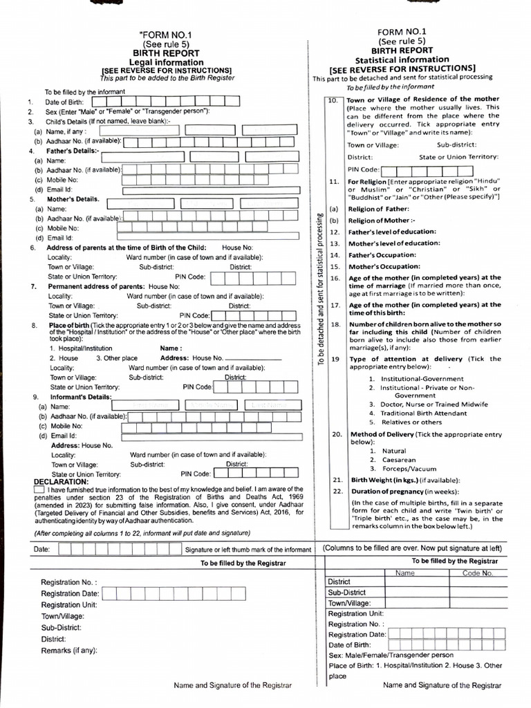 Form No-1 Birth Report | PDF