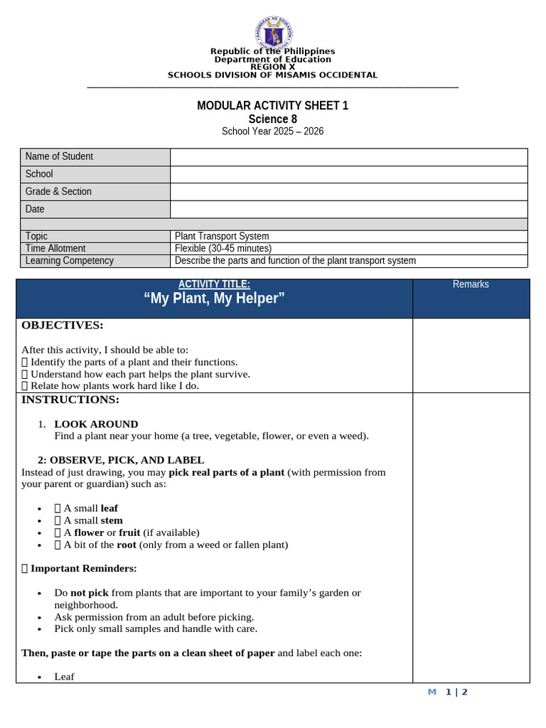 STAR 1 - Science 8 - Modular Activity 1 | PDF | Plants | Organisms