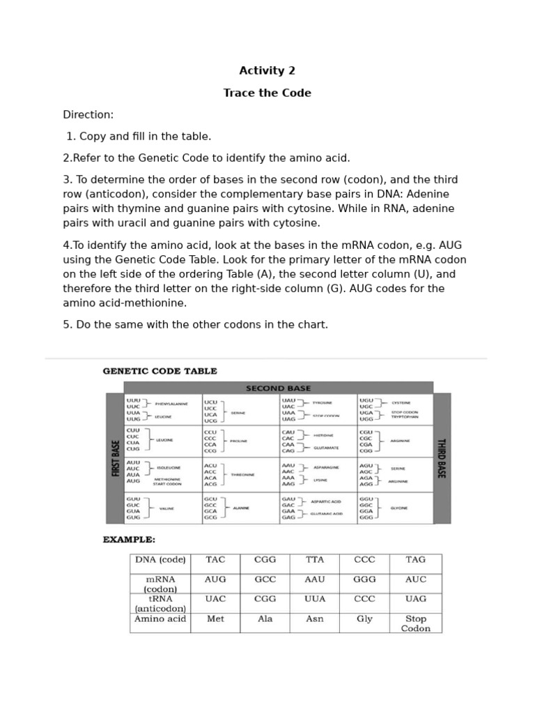Activity 2 For Fri. | PDF | Translation (Biology) | Genetic Code