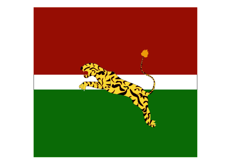 Flag Layout1 | PDF