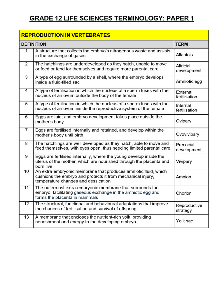 G12 Paper 1 Terminology | PDF