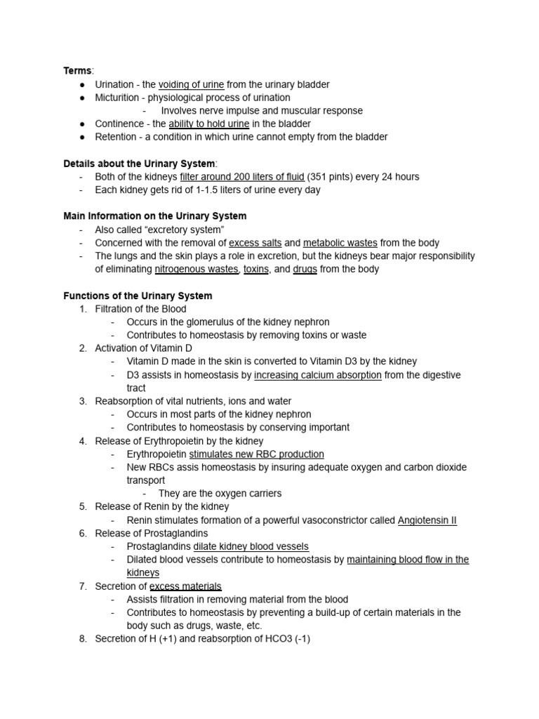 Reviewer Urinary System | PDF | Kidney | Anatomy