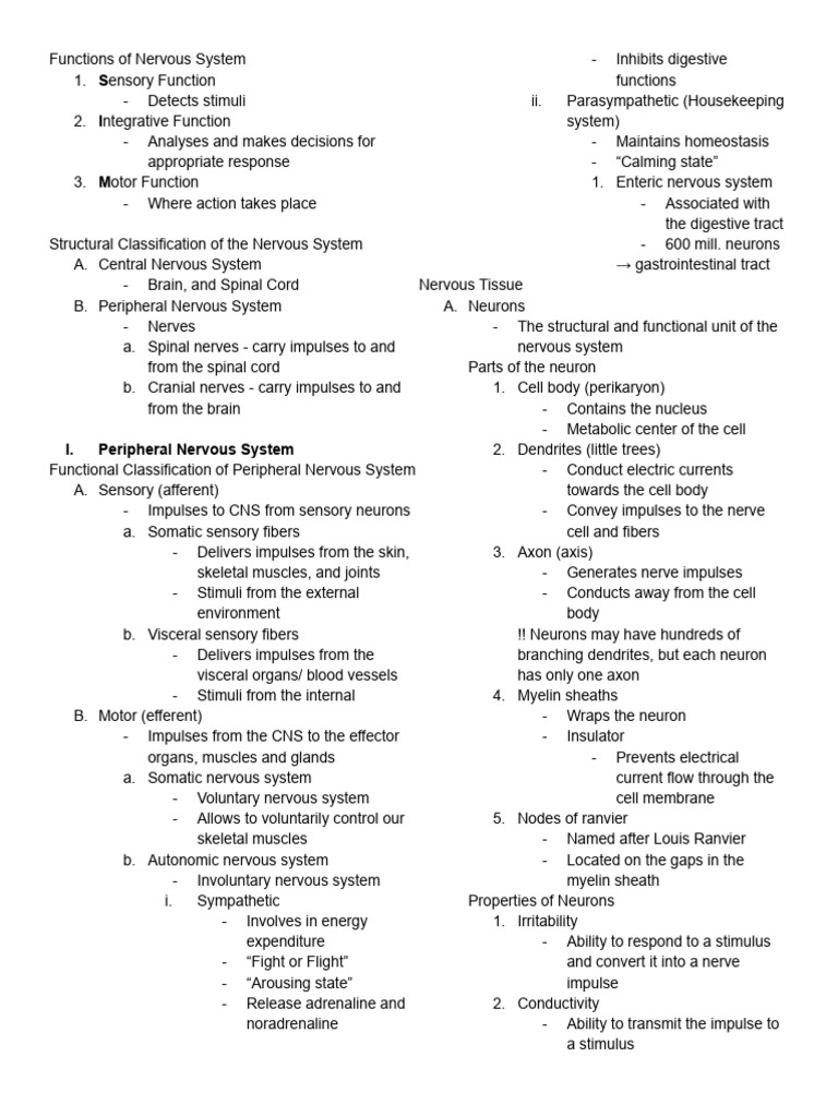 Notes Nervous System | PDF | Nervous System | Central Nervous System