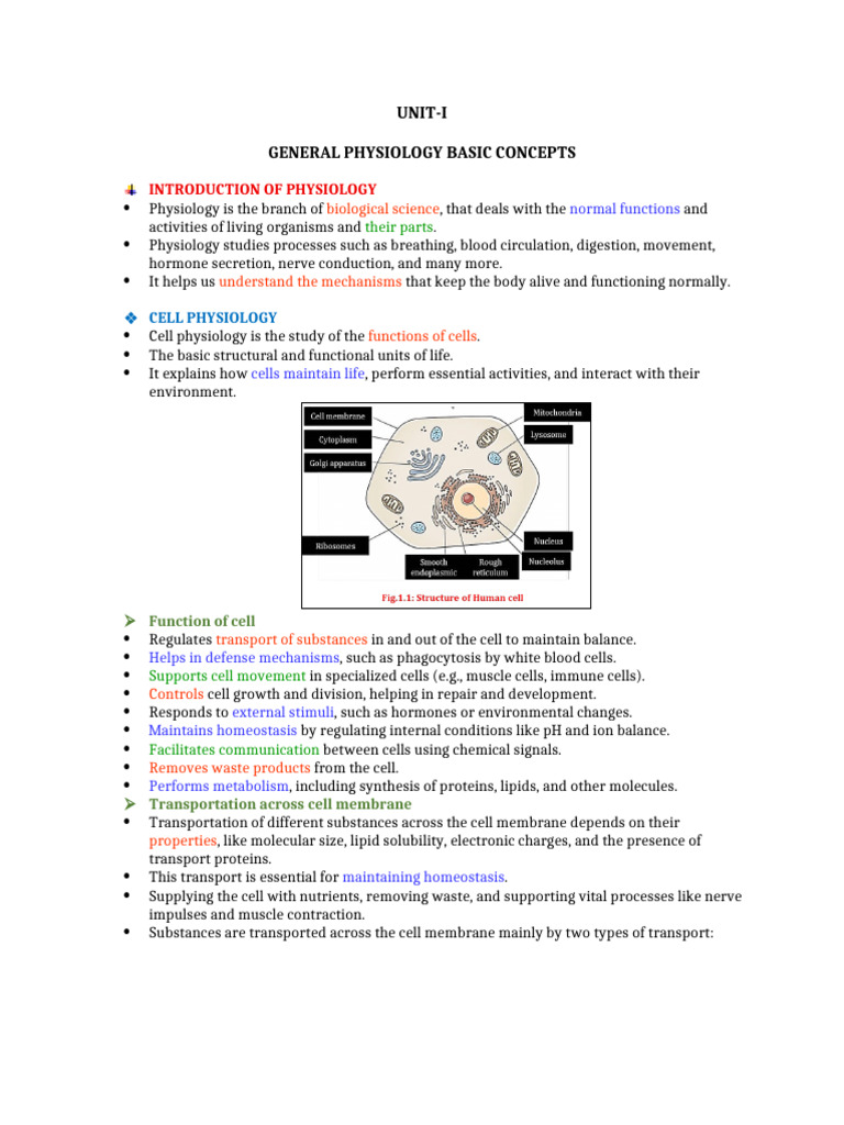General Physiology Basic Concepts | PDF | Mitosis | Meiosis