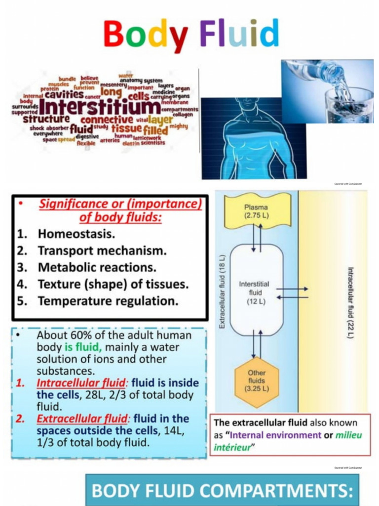 Body Fluid | PDF