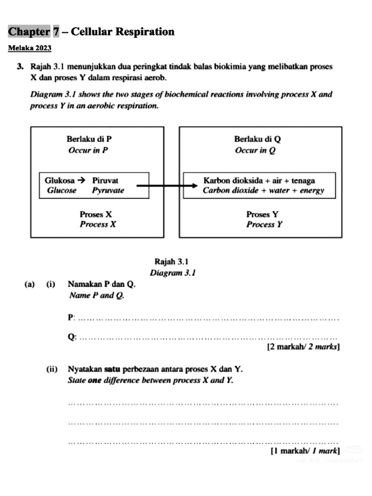 Bio F4 C7 | PDF