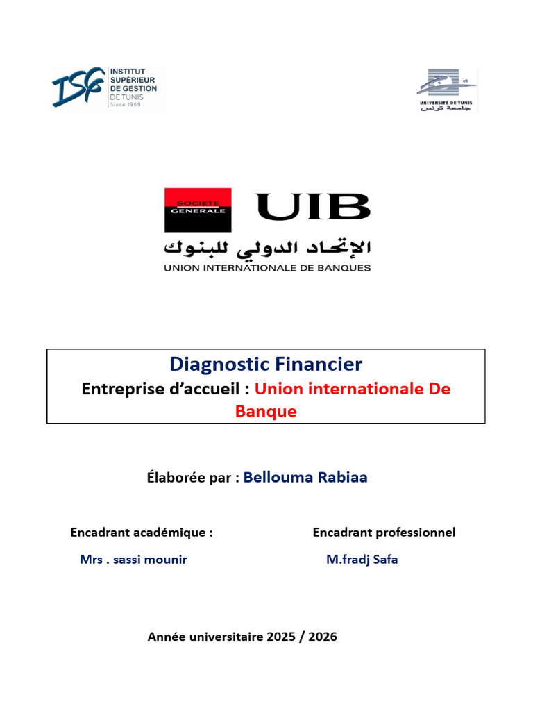 Diagnostic Financier Rapport Rabiaa | PDF | Banques | Fonds de roulement