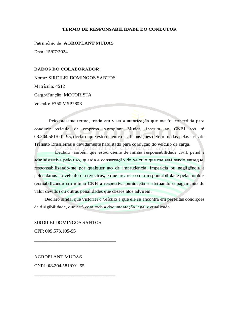 Termo de Responsabilidade Do Condutor | PDF