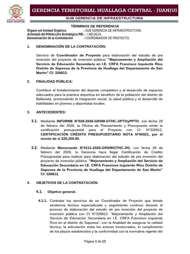1.0 TDR Coordinador de Proyecto Crfa - Listo | PDF | Presupuesto ...