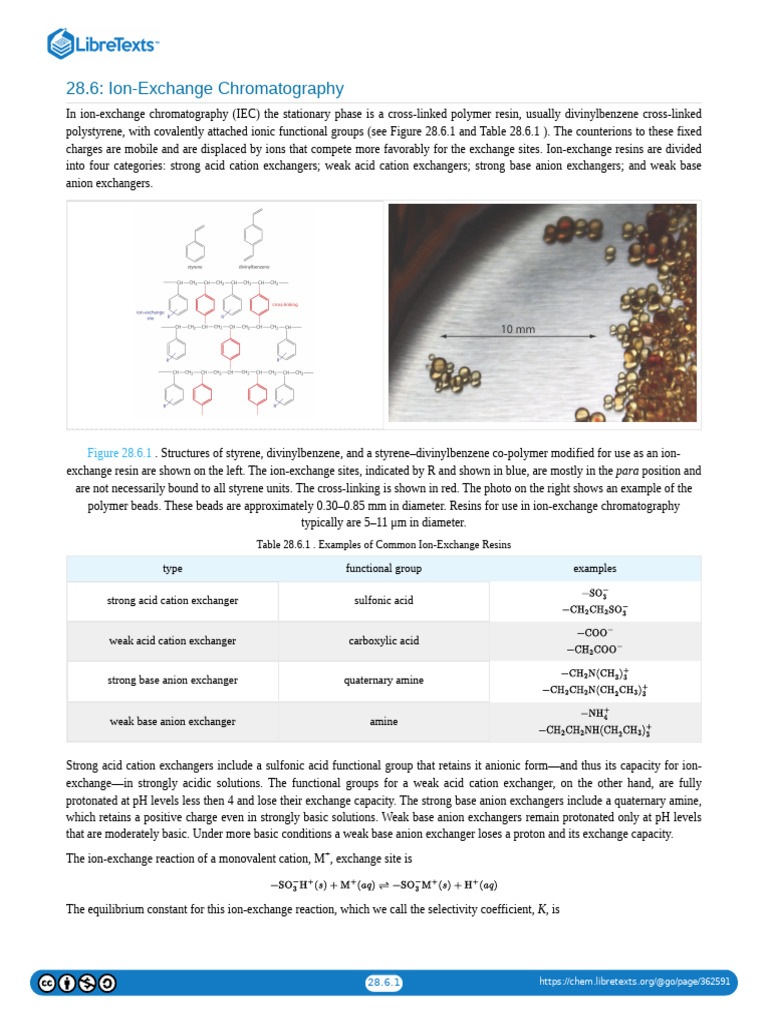 28.06 Ion-Exchange Chromatography | PDF | Ion Exchange | Ion