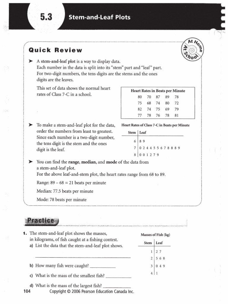 5 3 | PDF