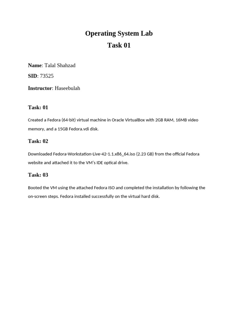 Task 01-OS Lab | PDF