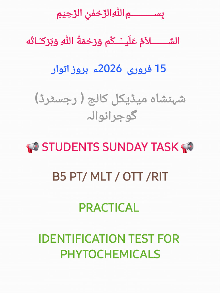Sunday Task 15 Feb 26 | PDF