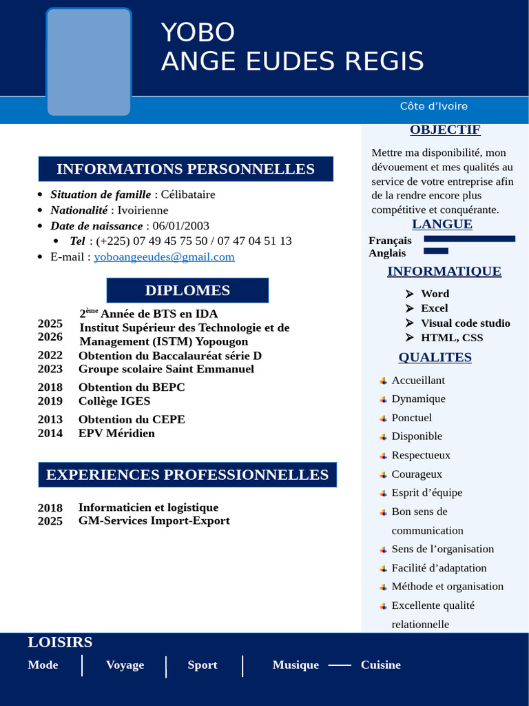 CV Pro YOBO | PDF | Informatique
