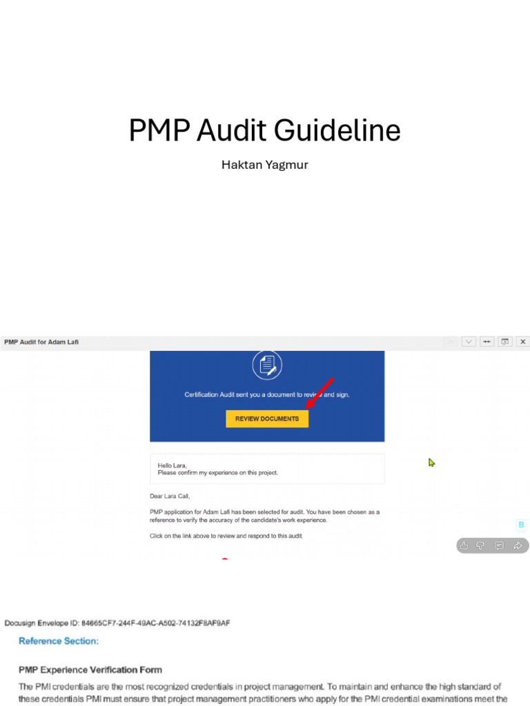 PMP Audit Guideline | PDF