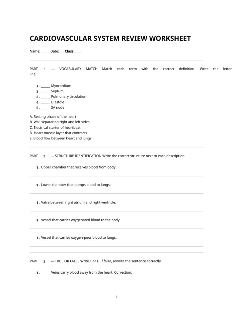 Cardiovascular Review Worksheet | PDF