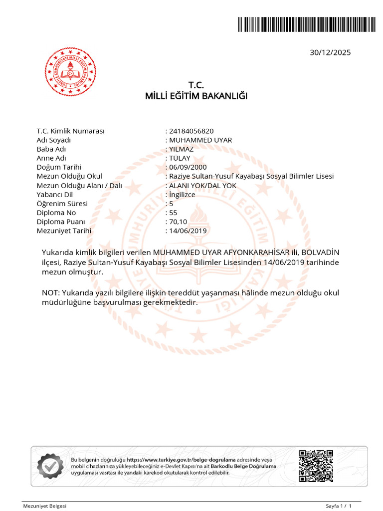 Diploma M | PDF
