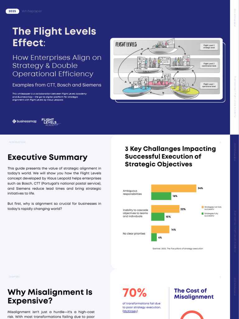 Flight Levels Whitepaper | PDF | Innovation | Agile Software Development
