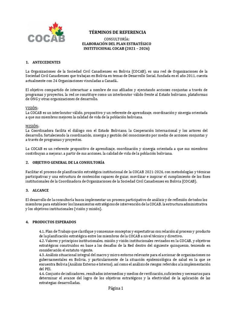 Terminos de Referencia Consultoria Pei Cocab | PDF | Planificación ...