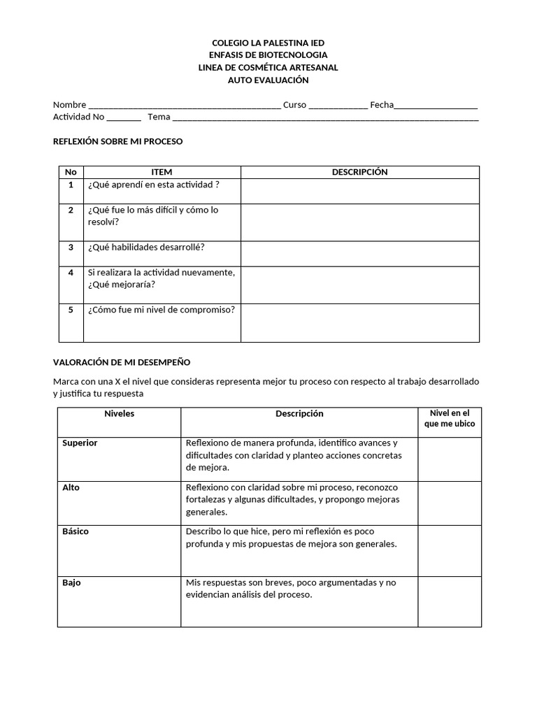 Formato Autoevaluación 2026 | PDF