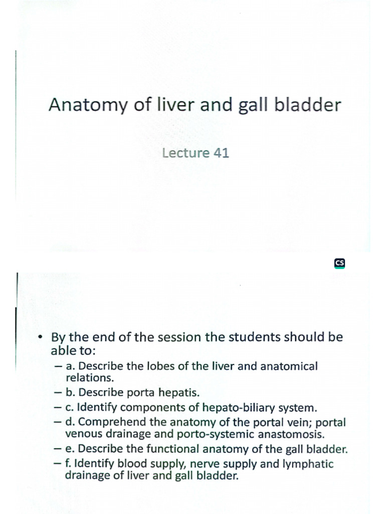 Anatomy of Liver and Gallbladder | PDF