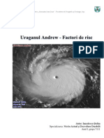 Uraganul Andrew - Aspecte de Risc