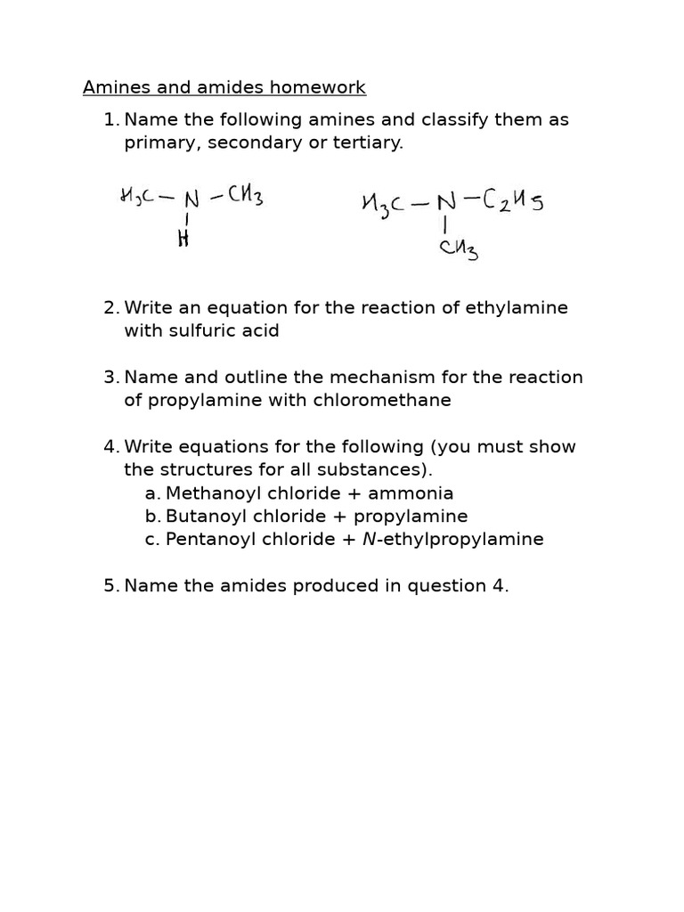 Amines and Amides Homework | PDF