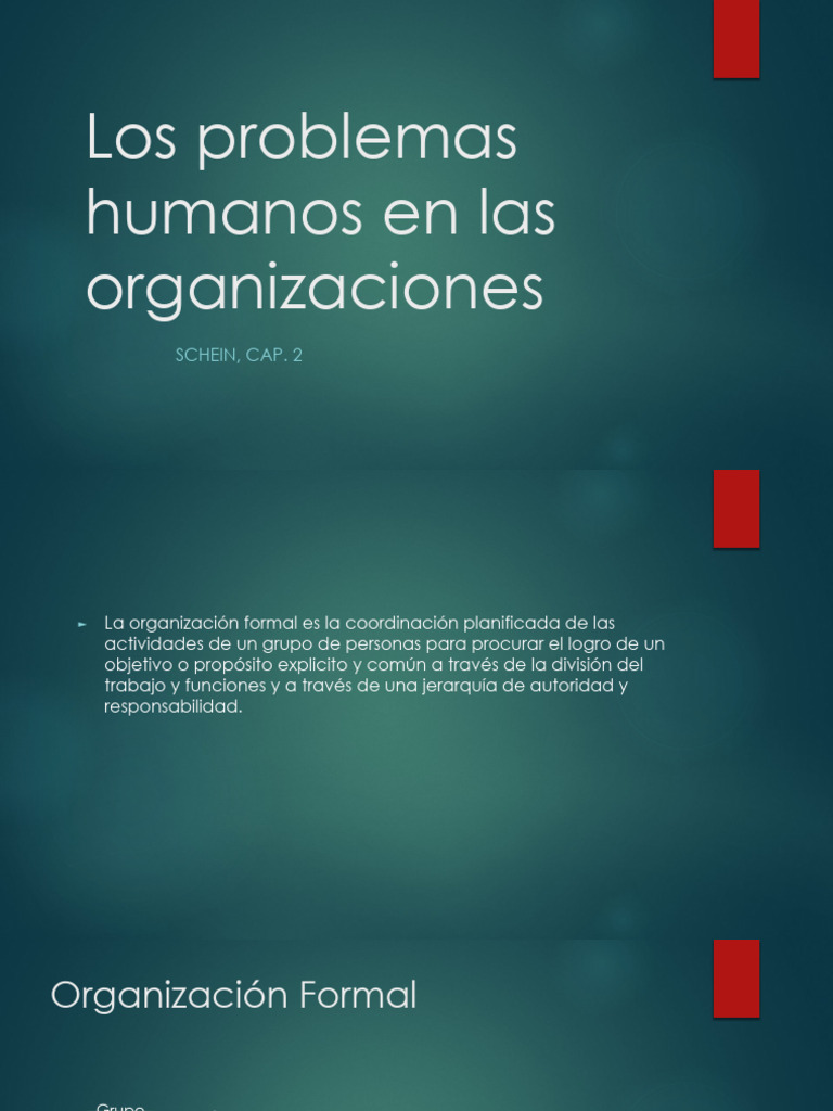 Schein | PDF | Gestión de recursos humanos | Ciencias del comportamiento