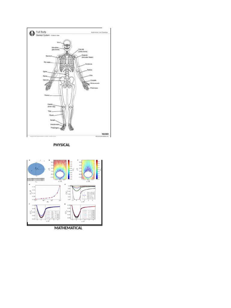 Scientific Model | PDF