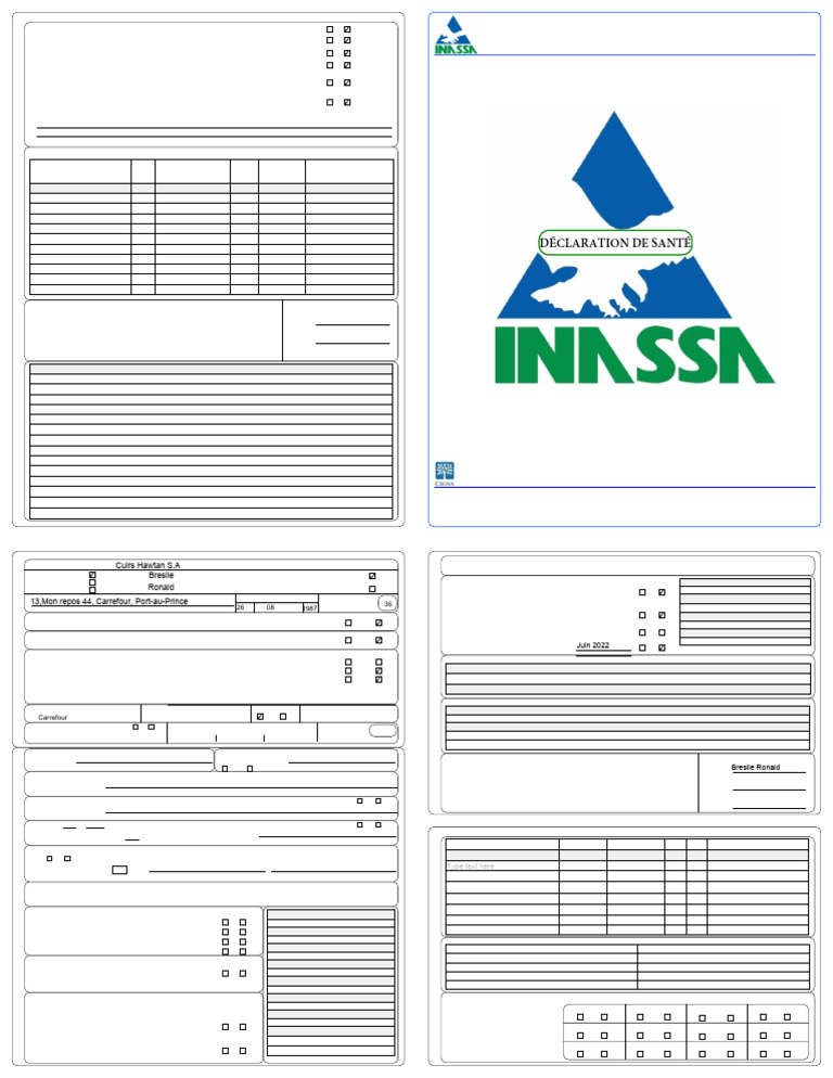 Unlock-Declaration Sante 11x17 Blank | PDF