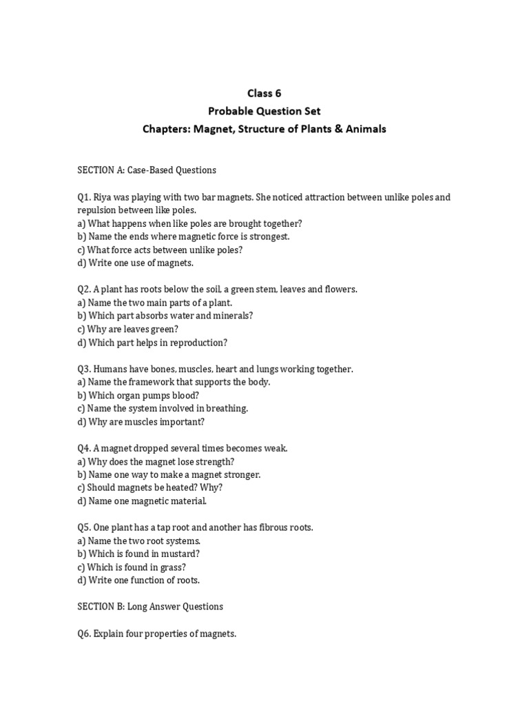 Probable Question Set - Class 6 | PDF