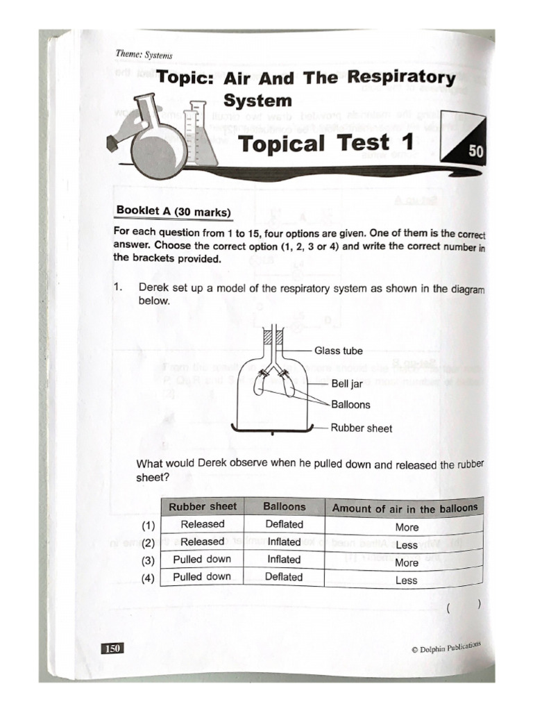 Air and Respiratory System Worksheet 4 | PDF