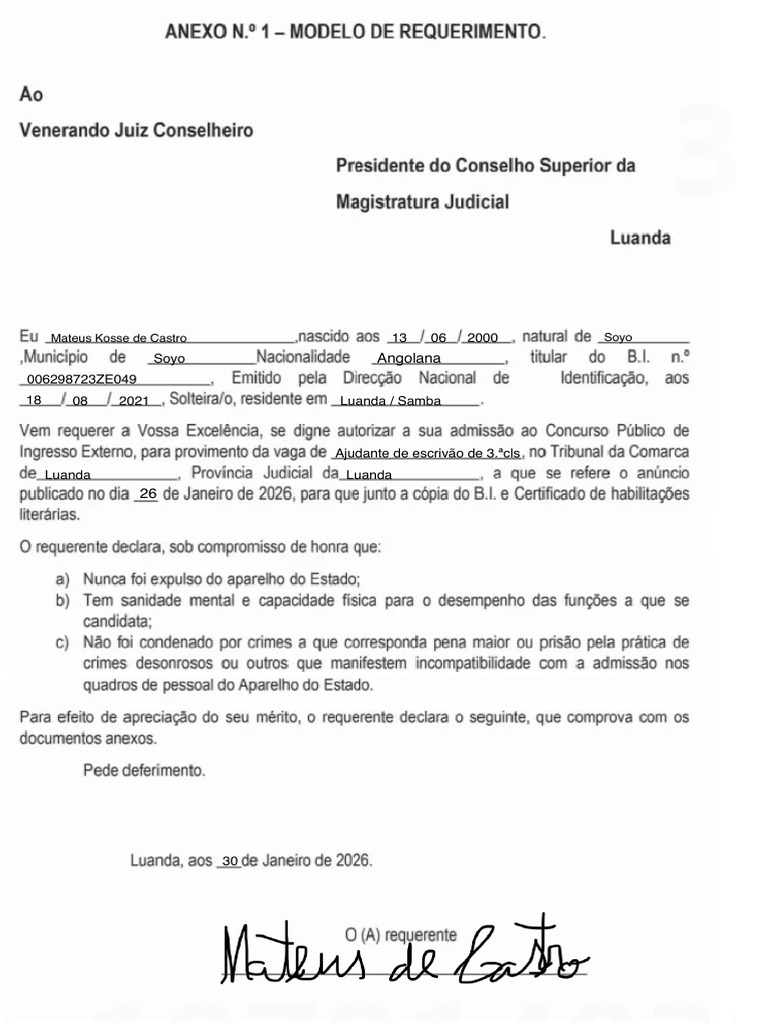 requerimento-concurso-publico-nos-tribunais-de-angola-pdf