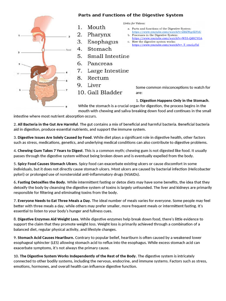 Parts and Functions of The Digestive System | PDF | Digestion ...