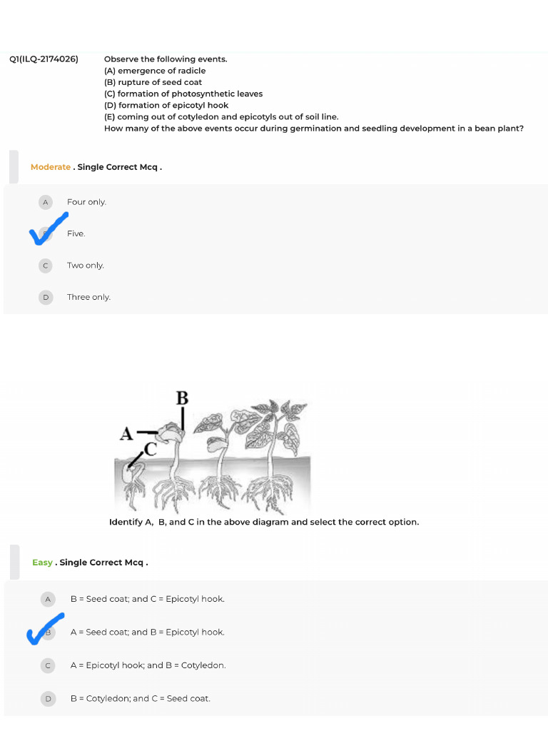 Plant Growth ®ulator Practice Statement Based. | PDF