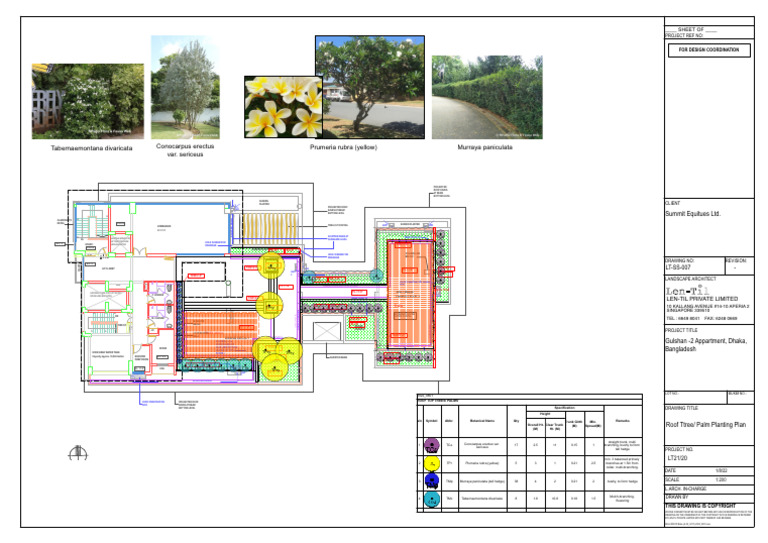 LT-SS-007-Roof Ttree - Palm Planting Plan - 1aug 2022 | PDF | Civil ...