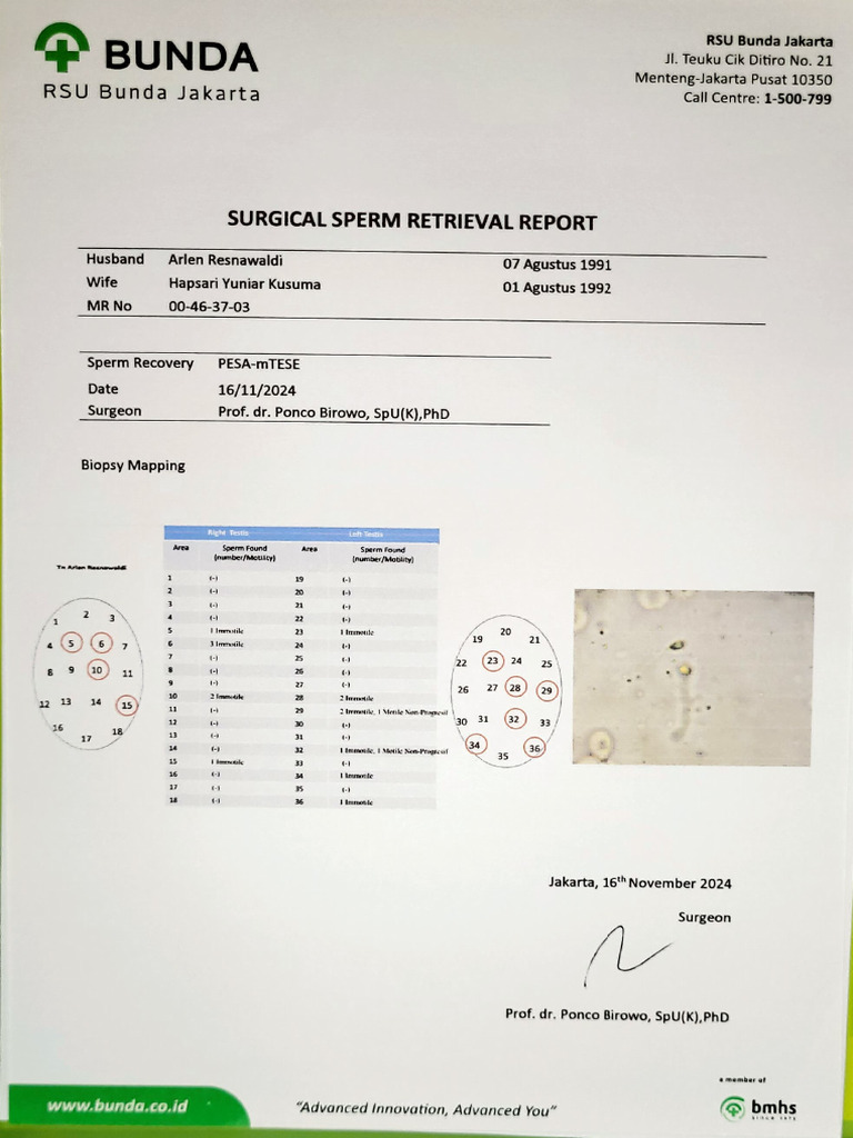 SSR Report - Arlen Resnawaldi | PDF | Mammal Reproductive System ...