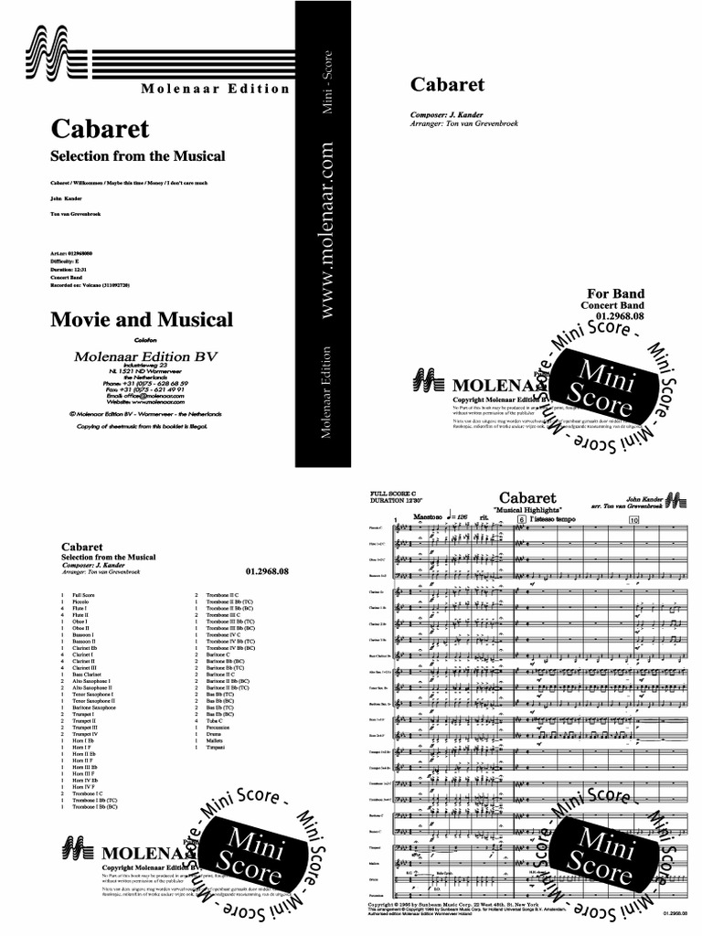 Mini Score | PDF