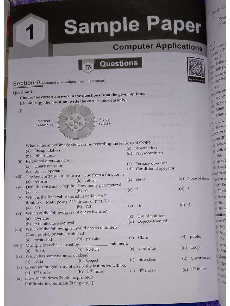 Computer Applications Sample Paper Icse X | PDF