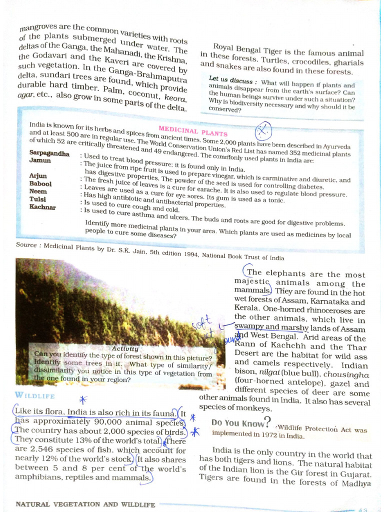 Document 44 | PDF