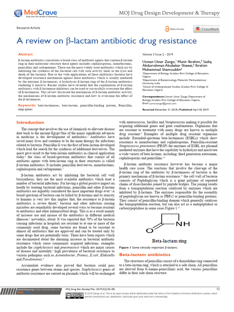 Areviewonbeta Lactamantibioticdrugresistance | PDF | Beta Lactamase ...