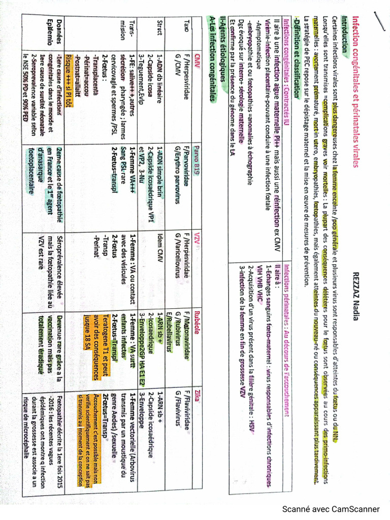 Infections Congénitale Et Périnatale Virales | PDF