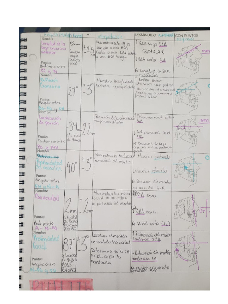 Analisis de Ricketts | PDF